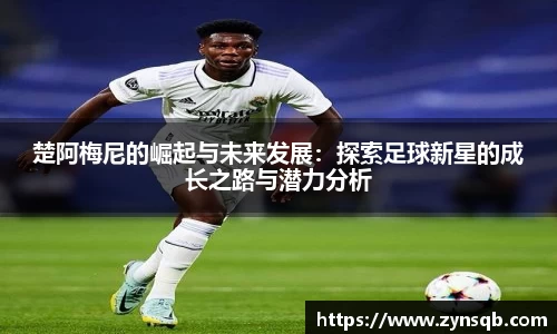 三亿体育官网入口