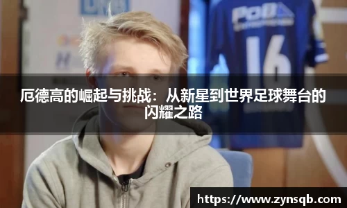 三亿官网